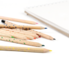 La boite de 12 crayons de couleur aquarellables - Image 6