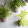 Support pour plante - Image 2